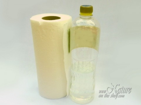 Vinegar and paper towels