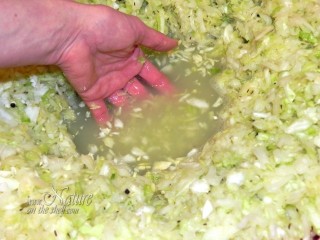 Cabbage sap released by tamping and added salt