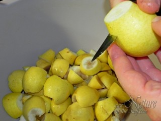 Cutting pears
