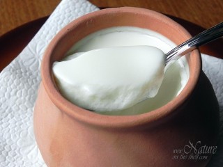 Freshly prepared yogurt
