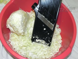 Grating small batch of cabbage