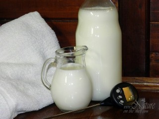 Ingredients and equipment for making homemade yogurt