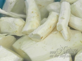 Peeled horseradish roots