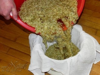 Pouring of elderflower infusion in pot lined with cheesecloth
