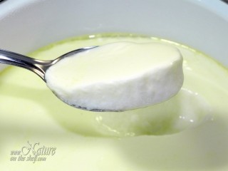 Thickness of homemade yogurt