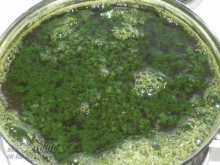 Boiling of nettle leaf extract