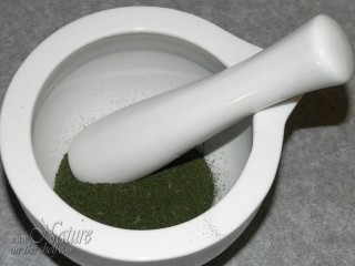 Grinding of dry nettle leaves by pestle and mortar