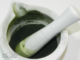 Grinding of nettle chlorophyll curdles using mortar and pestle