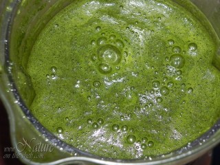 Puree made of fresh nettle leaves