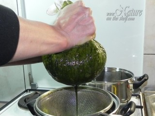Squeezing nettle leaf puree