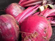 Fresh red beet roots