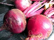 Red beet roots