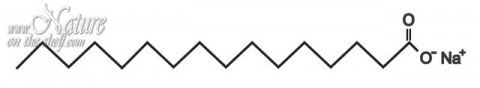 Soap molecule Soap molecule