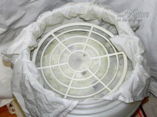 Cotton cloth cover at the top of cabbage