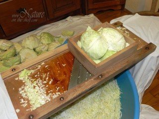 Traditional cabbage shredder
