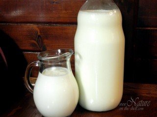 Yogurt and milk