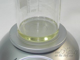 Melted coconut oil