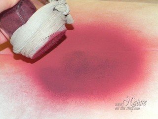 Sifting fine fraction of beet powder
