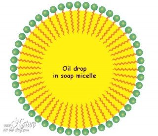 Emulsifying action of soap Emulsifying action of soap